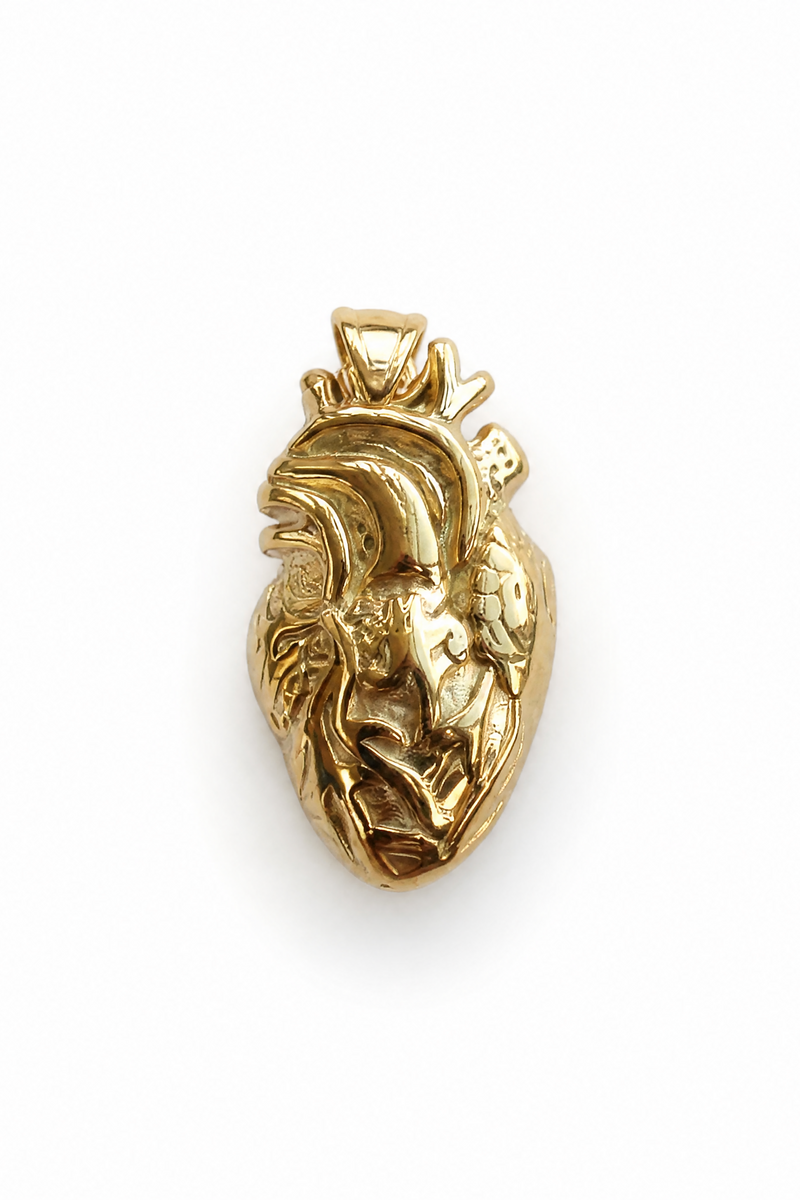 Dije de corazón anatómico en acero quirúrgico bañado en oro 18K, 3x1.5cm, relieve 3D con arterias y ventrículos — Pólux